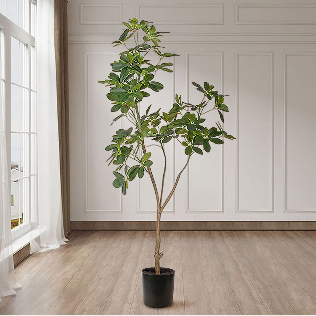 SOGA 4X 160cm Artificial Natural Green Schefflera Dwarf Umbrella Tree Fake Tropical Indoor Plant Home Office Deco