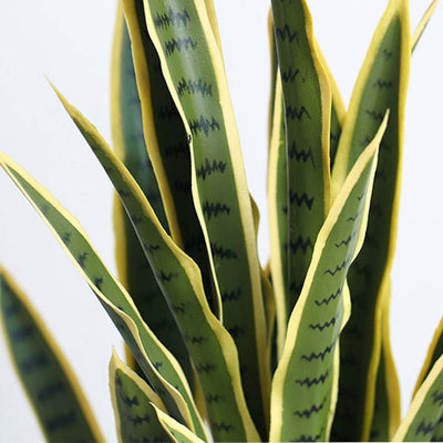 SOGA 2X 95cm Artificial Indoor Yellow Edge Tiger Piran Fake Decoration Tree Flower Pot Plant