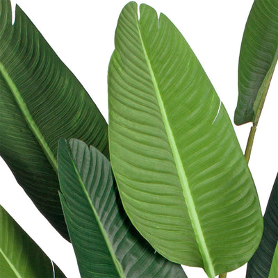 SOGA 220cm Artificial Giant Green Birds of Paradise Tree Fake Tropical Indoor Plant Home Office Decor