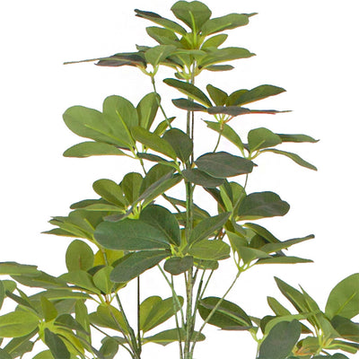 SOGA 160cm Artificial Natural Green Schefflera Dwarf Umbrella Tree Fake Tropical Indoor Plant Home Office Decor