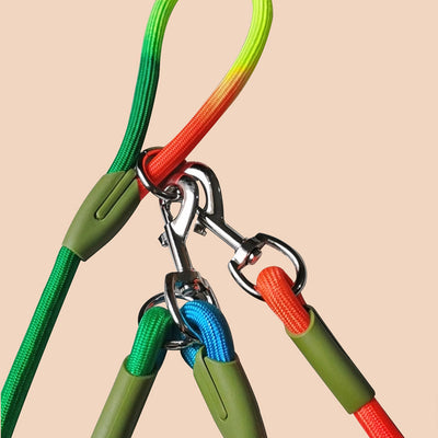 SOGA 2X 220cm Multifunction Hands-Free Rope Pet Cat Dog Puppy Double Ended Leash for Walking Training Tracking Obedience Rainbow