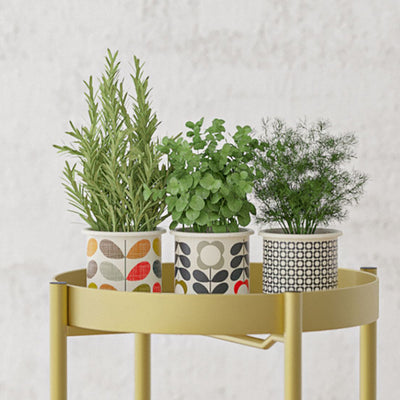 SOGA 2X 2 Layer 80cm Gold Metal Plant Stand Flower Pot Holder Corner Shelving Rack Indoor Display