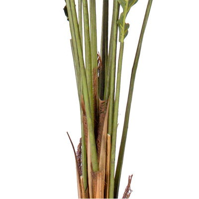 SOGA 2X 180cm Artificial Green Rogue Hares Foot Fern Tree Fake Tropical Indoor Plant Home Office Decor