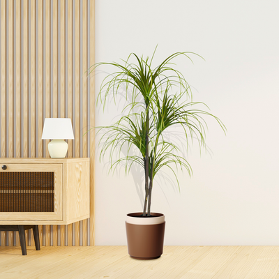 SOGA 2X SOGA 150cm Artificial Dracaena Plant Fake Potted, Simulation Tree Fake Plant Home Decor
