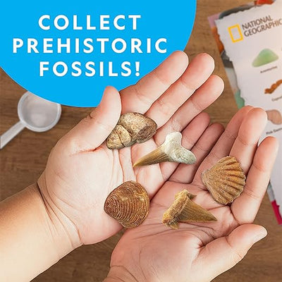 NATIONAL GEOGRAPHIC Rocks & Fossils Kit – 300+ Piece Set Includes Geodes, Real Fossils, Rose Quartz, Jasper, Aventurine & Many More Rocks, Crystals & Gemstones