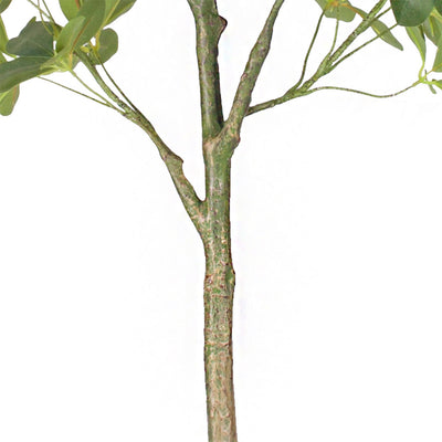SOGA 160cm Artificial Natural Green Schefflera Dwarf Umbrella Tree Fake Tropical Indoor Plant Home Office Decor