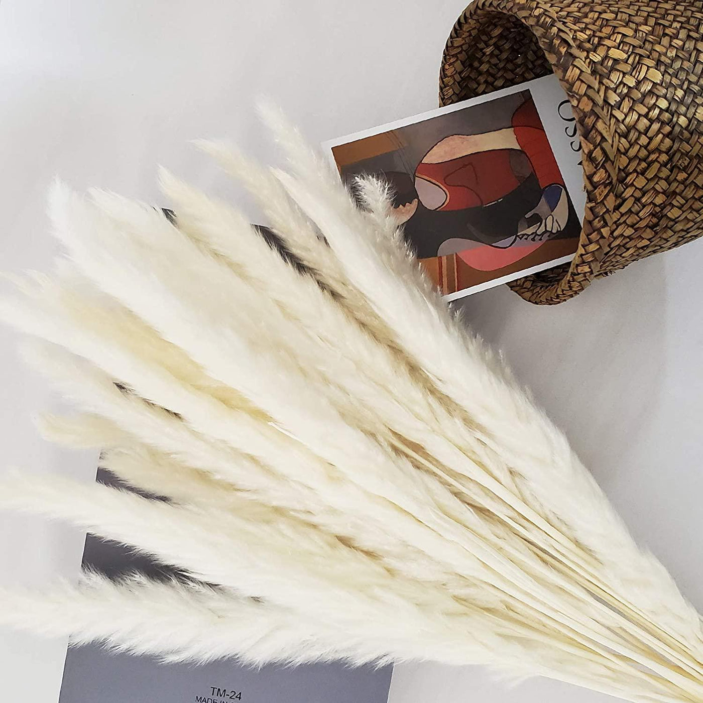 Natural Dried Pampas Grass