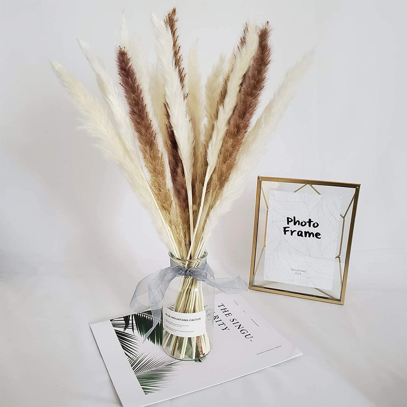 Natural Dried Pampas Grass