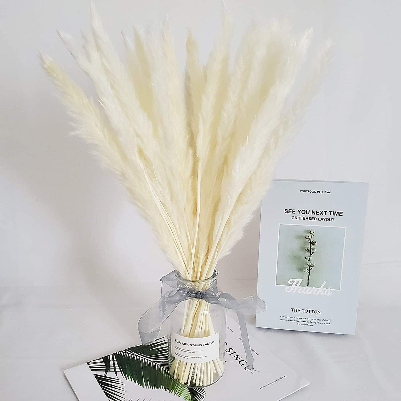 Natural Dried Pampas Grass