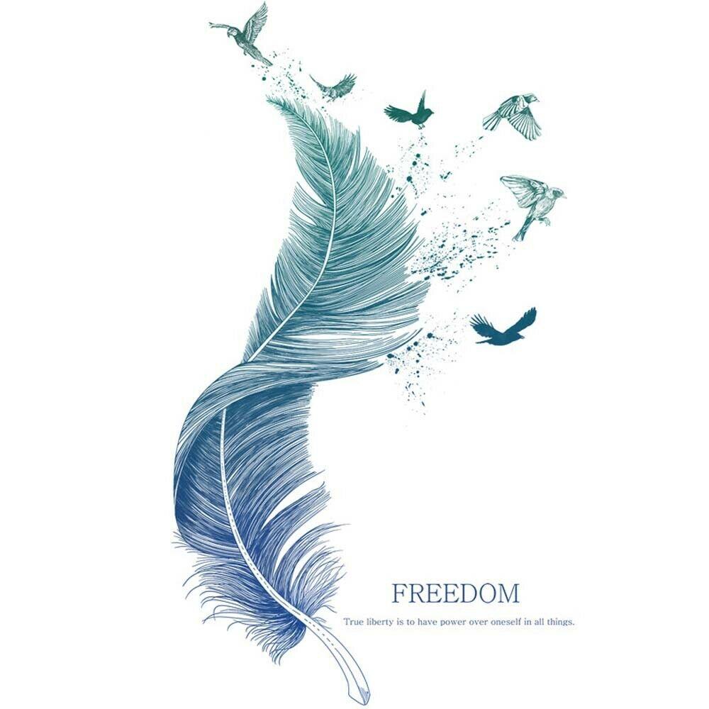 Blue feather Removable Living Room Decal Home Decors Wall Stickers Art Mural